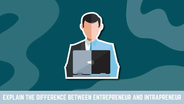 Explain The Difference Between Entrepreneur And Intrapreneur
